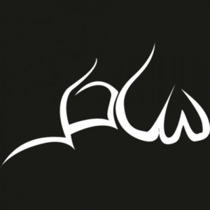 Clanassamitessorcererspng — Vampire: The Masquerade Clans option 4