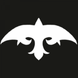 Clangangrelandapng — Vampire: The Masquerade Clans option 25