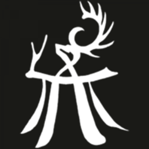 Clangangrelnoiadpng — Vampire: The Masquerade Clans option 29