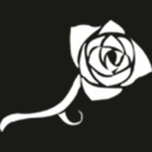 Clantoreadorpng — Vampire: The Masquerade Clans option 54