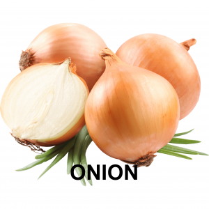 Onionjpg — VEGETABLE TIER LIST BY YOSUKE AND MAORU option 37