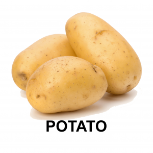 Potatojpg — VEGETABLE TIER LIST BY YOSUKE AND MAORU option 40
