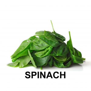 Spinachjpg — VEGETABLE TIER LIST BY YOSUKE AND MAORU option 50