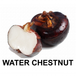 Waterchestnutjpg — VEGETABLE TIER LIST BY YOSUKE AND MAORU option 58