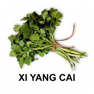 Xi Yang Caijpg — VEGETABLE TIER LIST BY YOSUKE AND MAORU option 60