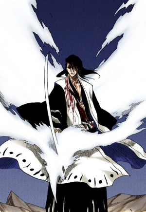 Zz1639459897912029115202400475750jpeg — Objectively correct Bleach Tier list option 176