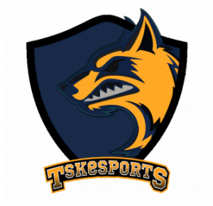 Tskpng — VFO SPAIN PS option 29