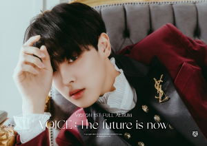 70c1e947 A417 42c2 A2d8 0409dc80f4f4jpeg — Victon Brawl Ranking option 2