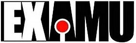 Examujpg — Video Game Companies option 73