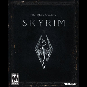 Skyrimjpeg — Video Game Franchises option 64