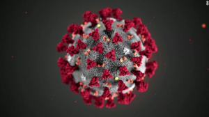 Virusesjpg — Viruses And Diseases option 21
