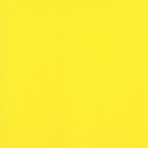 Yellowjpg — Viruses And Diseases option 22