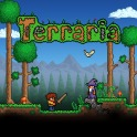 Image227jpg — Vita Games 2.1 option 166