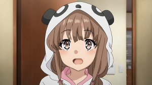 Seishun Buta Yarou Wa Bunny Girl Senpai No Yume Wo Minai 11 Large 11jpg — Waifu tier list (193 waifu) option 78