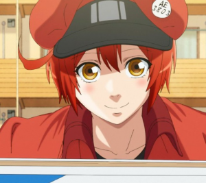 Zz1608000191hataraku Saibou Pv 2 1000x600jpg — Waifus Anime/Manga/Manhwa option 619
