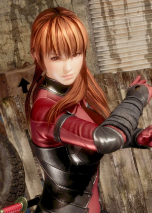 Doa Kasumijpg — Waifus de los juegos option 22