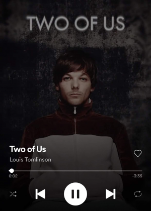 Img7810jpg — Walls - Louis Tomlinson option 3