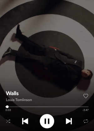 Img7814jpg — Walls - Louis Tomlinson option 6