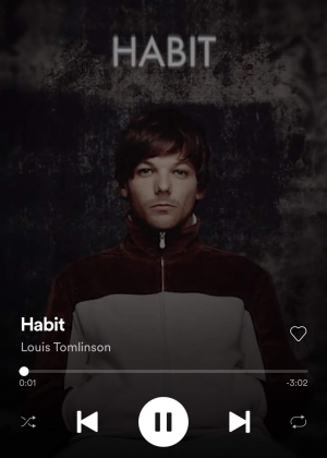 Img7815jpg — Walls - Louis Tomlinson option 7