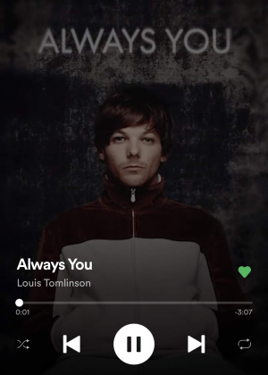 Img7816jpg — Walls - Louis Tomlinson option 8