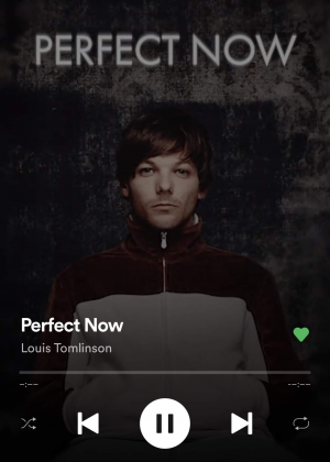 Img7818jpg — Walls - Louis Tomlinson option 10
