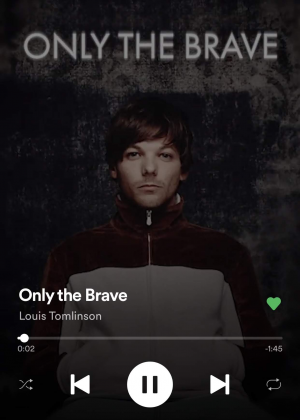 Img7820jpg — Walls - Louis Tomlinson option 12