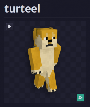Turteelpng — Walls Players v12 option 89