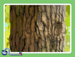 150px Wwgbugeyedpng — WarioWare Gold minigame tier list option 148