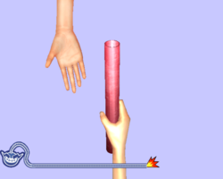 250px Wwsmhandmedownpng — WarioWare Smooth Moves Microgames option 71