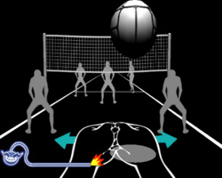 250px Wwsmvolleyyallpng — WarioWare Smooth Moves Microgames option 185