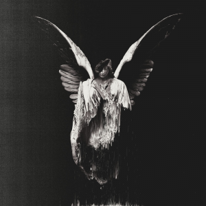 Erase Mejpg — Warped Scene Albums option 84