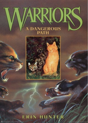Zz1631652769dp500x700jpg — Warrior Cats Book Covers (foreign included !) option 174