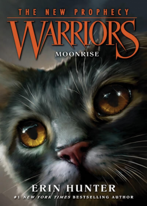 Zz1631689575blease Back Up Sir Moonrise500x700jpg — Warrior Cats Book Covers (foreign included !) option 262