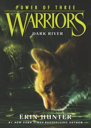 Zz1631759294splish Splash Dr500x700jpg — Warrior Cats Book Covers (foreign included !) option 336