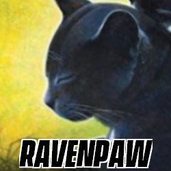 Ravenpaw, Heroes Wiki