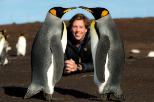 Koningspinguinjpg — Water/Sea Animals option 24
