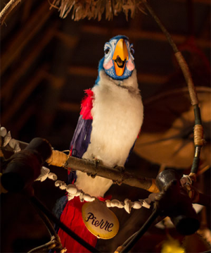 Tikiroomjpg — WDW Animatronic Figures option 35