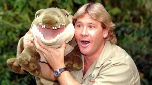 Steveirwinjpg — Wholesome Celebrities option 11