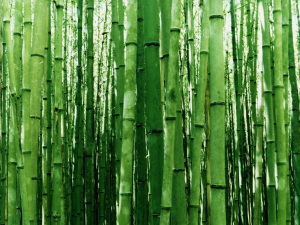 Img11jpg — Windows Vista Wallpapers option 2