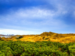 Img21jpg — Windows Vista Wallpapers option 13
