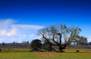 Zz1595157326img37jpg — Windows Vista Wallpapers option 30