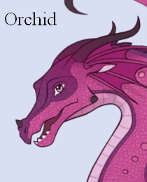 Orchid, Wings of Fire Fanon Wiki