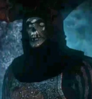 Dunn Banner Wraithpng — Witcher 2 Characters option 9