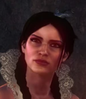 Philippaeilhartpng — Witcher 2 Characters option 21