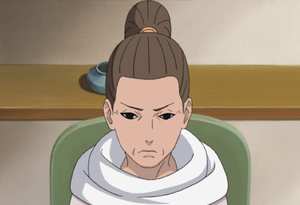 Biwakosarutobipng — Women of Naruto (Appearance) option 3