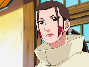 Hanainuzukapng — Women of Naruto (Appearance) option 7