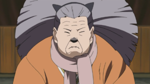 Nekobaapng — Women of Naruto (Appearance) option 24