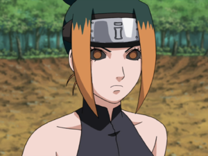Parukaanimepng — Women of Naruto (Appearance) option 25