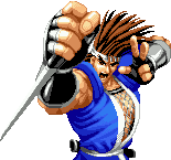 Wh Perfect Hanzoupng — World Heroes Perfect - Characters option 5