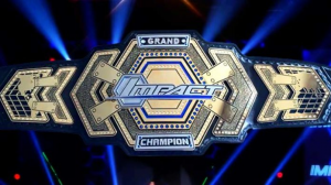 0507ff4f 9fc7 4d53 B7b0 2e4fd566860bjpeg — Wrestling Championships option 6